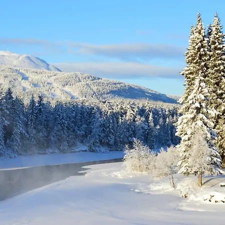 Hyttegrend Lodge Trysil