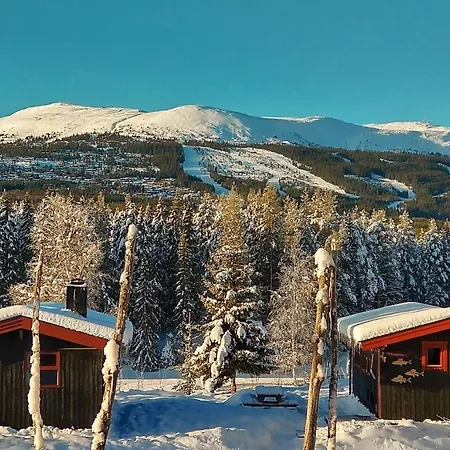 Hyttegrend * Trysil