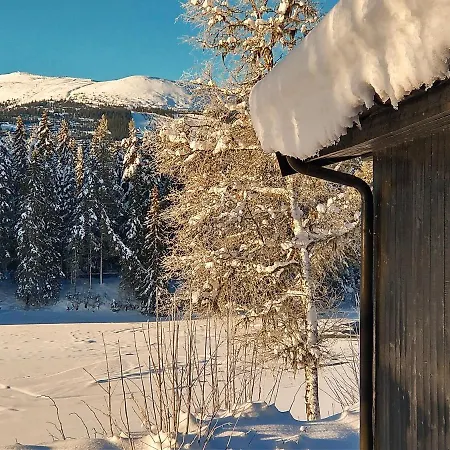 Lodge Hyttegrend Trysil