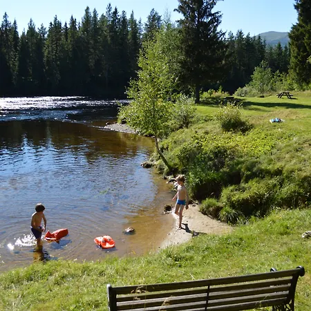 Hyttegrend * Trysil