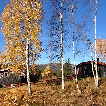 Hyttegrend *