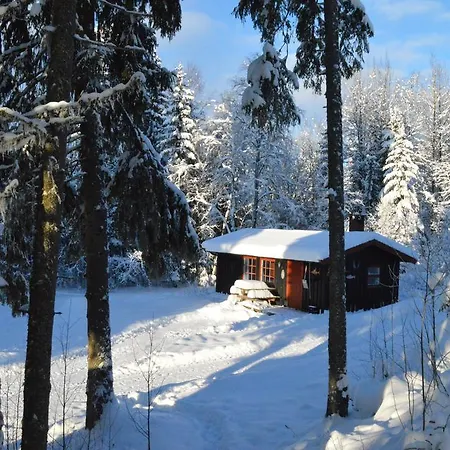 Hyttegrend Trysil