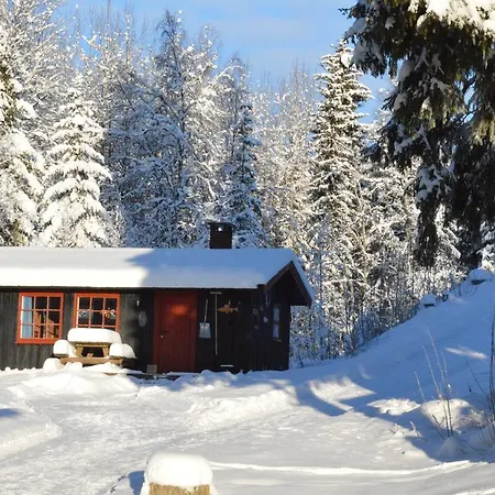 Lodge Hyttegrend
