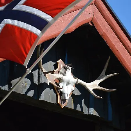 Hyttegrend Trysil