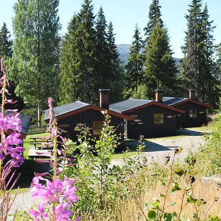 Hyttegrend * Trysil