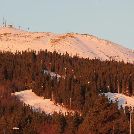 بيت خشبي Hyttegrend