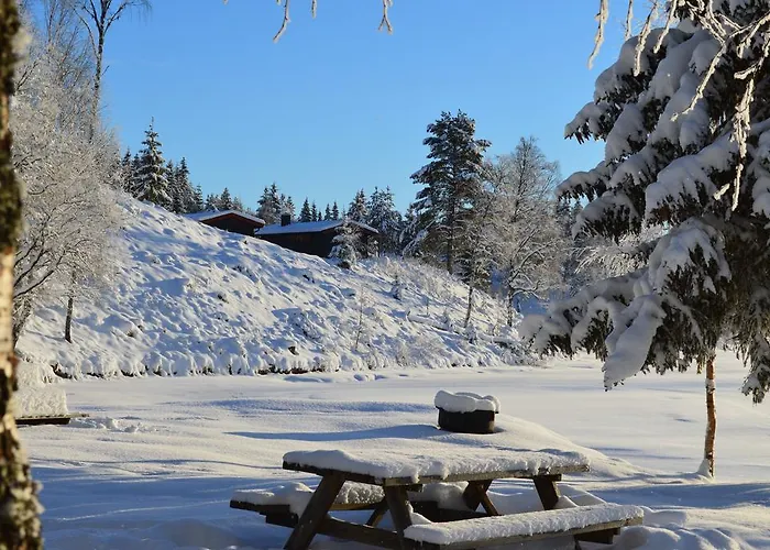 Jaktstuga Hyttegrend Trysil