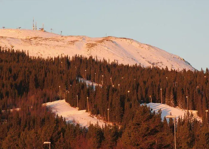 Jaktstuga Hyttegrend