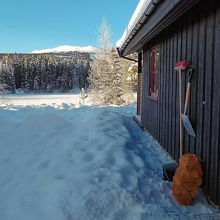 Hyttegrend Trysil